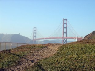Golden Gate Bridge- (medium sized photo)